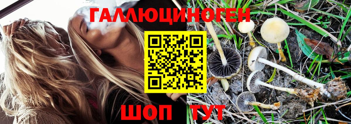 Псилоцибиновые грибы мицелий  Галлюциногенные грибы Magic Shrooms  Ишимбай  Вход с VPN 