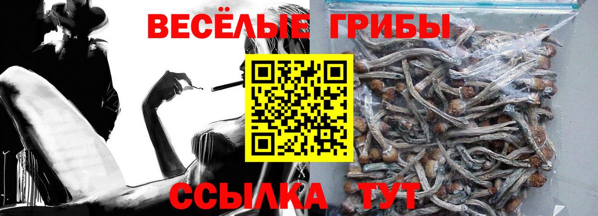 Псилоцибиновые грибы Psilocybe Ишимбай